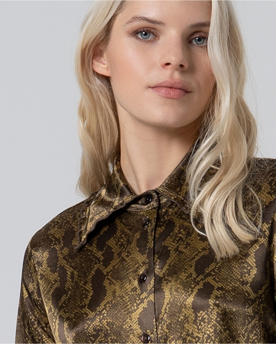 Camicia stampa pitone — Verde, foto 3